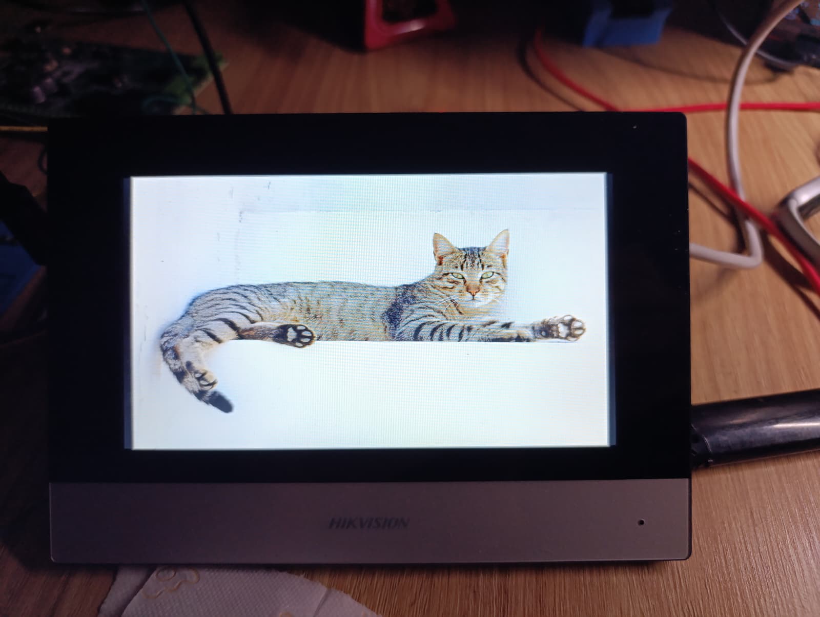 A test photo written directly to the DS-KH6320-WTE1's framebuffer, confirming the FBIOPAN_DISPLAY fix